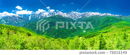 《長野縣》北阿爾卑斯山景與清新的綠意 78818149