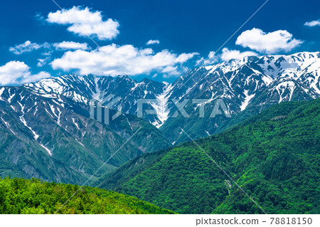 《長野縣》北阿爾卑斯山景與清新的綠意 《長野縣》北阿爾卑斯山景與清新的綠意 78818150