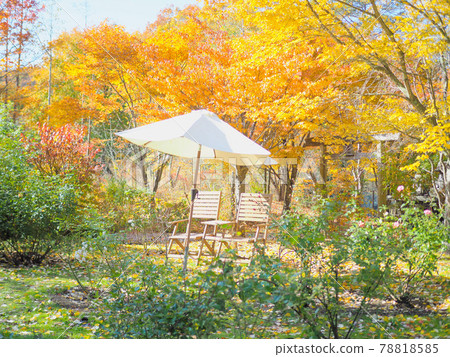 Autumn leaves in Karuizawa Lake Garden Autumn leaves in Karuizawa Lake Garden 78818585