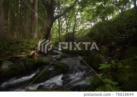 Beautiful scenery in the mountains of Nasushiobara Beautiful scenery in the mountains of Nasushiobara 78818644