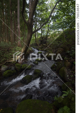 Beautiful scenery in the mountains of Nasushiobara Beautiful scenery in the mountains of Nasushiobara 78818647