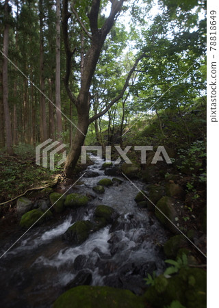 Beautiful scenery in the mountains of Nasushiobara 78818649