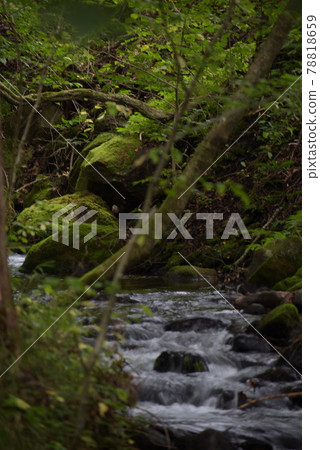 Beautiful scenery in the mountains of Nasushiobara Beautiful scenery in the mountains of Nasushiobara 78818659