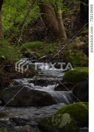 Beautiful scenery in the mountains of Nasushiobara Beautiful scenery in the mountains of Nasushiobara 78818666