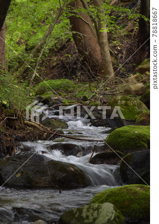 Beautiful scenery in the mountains of Nasushiobara Beautiful scenery in the mountains of Nasushiobara 78818667