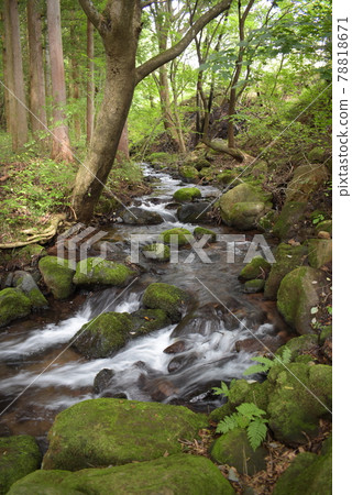 Beautiful scenery in the mountains of Nasushiobara Beautiful scenery in the mountains of Nasushiobara 78818671