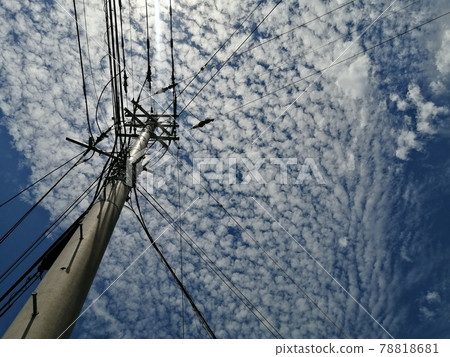 Spiders and utility poles Spiders and utility poles 78818681