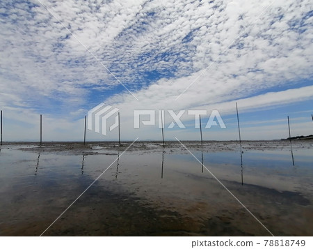 Tideland Tideland 78818749
