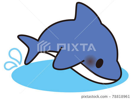 Dolphin 78818961