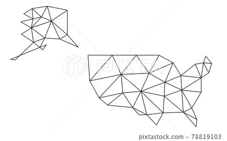 Polygonal USA vector world map on white background. Polygonal USA vector world map on white background. 78819103