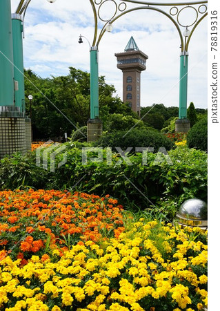 神奈川縣相模原淺水公園 78819316