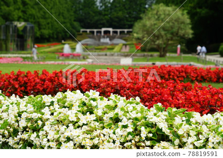 神奈川縣立相模原公園 78819591