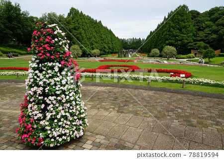 神奈川縣立相模原公園 78819594