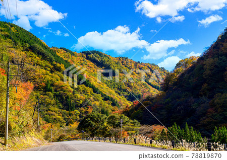 日本的紅葉絕景 五香所的紅葉風景“未開發的區域,平家之裡,梅之樹桃樹公園”(2020年秋季拍攝於日本) 日本的紅葉絕景 五香所的紅葉風景“未開發的區域,平家之裡,梅之樹桃樹公園”(2020年秋季拍攝於日本) 78819870