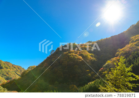 Superb view of autumn leaves in Japan Gokanoshō's autumn leaves scenery "Unexplored area, Heike no Sato, Umenoki Todoroki Park" (photographed in autumn 2020 in Japan) Superb view of autumn leaves in Japan Gokanoshō's autumn leaves scenery "Unexplored area, Heike no Sato, Umenoki Todoroki Park" (photographed in autumn 2020 in Japan) 78819871