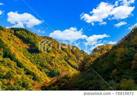 日本的紅葉絕景 五香所的紅葉風景“未開發的區域,平家之裡,梅之樹桃樹公園”(2020年秋季拍攝於日本) 日本的紅葉絕景 五香所的紅葉風景“未開發的區域,平家之裡,梅之樹桃樹公園”(2020年秋季拍攝於日本) 78819872