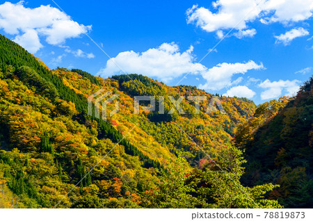日本的紅葉絕景 五香所的紅葉風景“未開發的區域，平家之裡，梅之樹桃樹公園”（2020年秋季拍攝於日本） 78819873