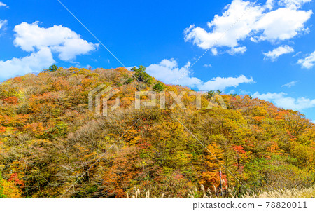 Superb view of autumn leaves in Japan Gokanoshō's autumn leaves scenery "Unexplored area, Heike no Sato, Umenoki Todoroki Park" (photographed in autumn 2020 in Japan) Superb view of autumn leaves in Japan Gokanoshō's autumn leaves scenery "Unexplored area, Heike no Sato, Umenoki Todoroki Park" (photographed in autumn 2020 in Japan) 78820011