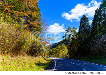 Superb view of autumn leaves in Japan Gokanoshō's autumn leaves scenery "Unexplored area, Heike no Sato, Umenoki Todoroki Park" (photographed in autumn 2020 in Japan) 78820012
