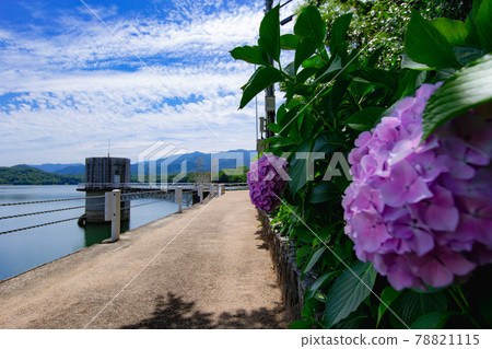 日本最好的池塘，萬能池，與空海有關的生命之水 78821115