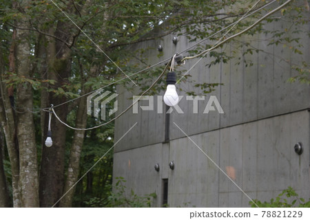 Bare light bulb installed in the park 78821229
