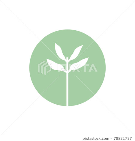 Seedling icon. Green growing tree on white Seedling icon. Green growing tree on white 78821757