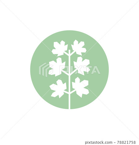 Seedling icon. Green growing tree on white Seedling icon. Green growing tree on white 78821758