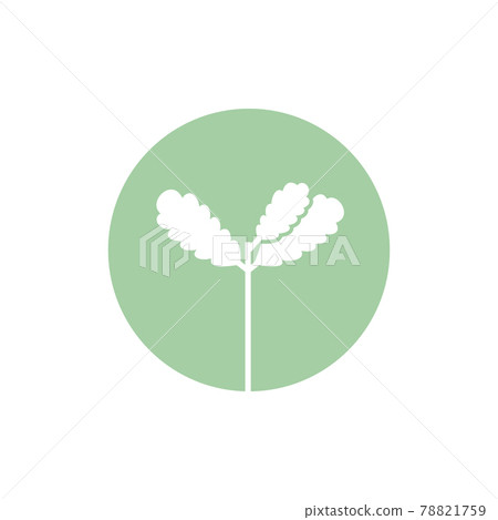 Seedling icon. Green growing tree on white Seedling icon. Green growing tree on white 78821759