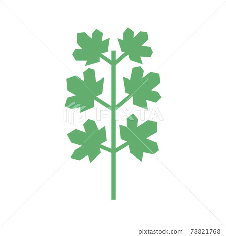 Seedling icon. Green growing tree on white Seedling icon. Green growing tree on white 78821768
