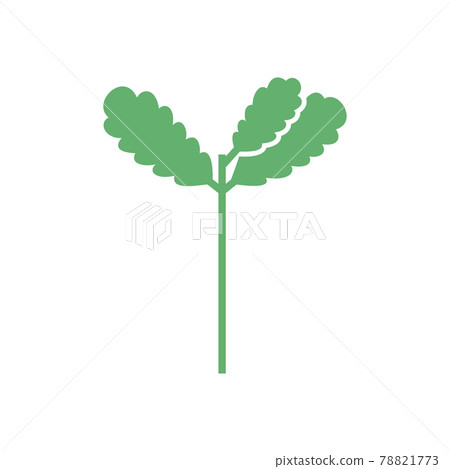 Seedling icon. Green growing tree on white 78821773