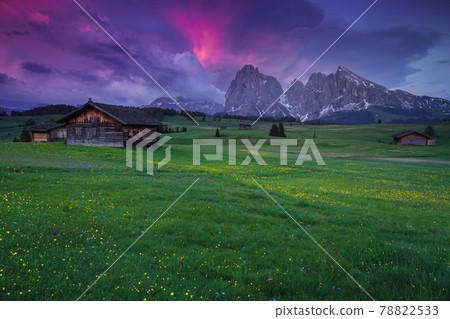 Summer alpine landscape with colorful flowers on the fields, Dolomites 78822533