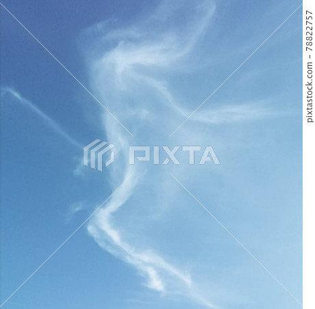 雲仙子 雲仙子 78822757