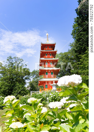Five-storied pagoda of Kongoji Temple in Miki City, Hyogo Prefecture, which is famous for hydrangea Five-storied pagoda of Kongoji Temple in Miki City, Hyogo Prefecture, which is famous for hydrangea 78822792
