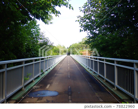 北海道利尻島押泊地區自行車路線 78822960