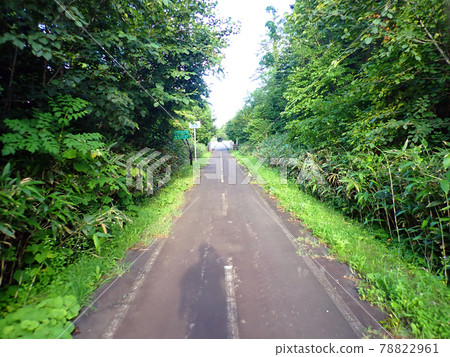北海道利尻島押泊地區自行車路線 78822961
