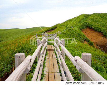 北海道禮文島桃岩展望台路線 78823057