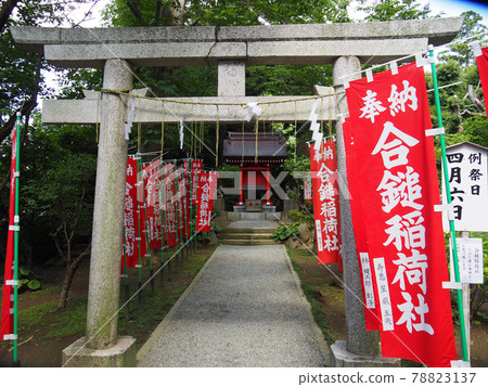 Kamakura Kuzuhara Oka Shrine precincts joint company Hammer Inari Shrine Kamakura Kuzuhara Oka Shrine precincts joint company Hammer Inari Shrine 78823137