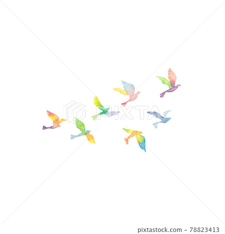 一群彩虹色的鳥 78823413