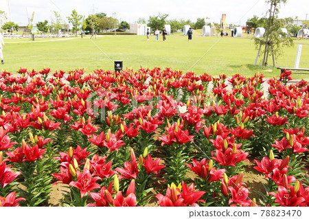 Yuri no Sato Park Yuri no Sato Park 78823470