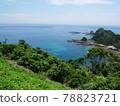 The sea seen from the cape 78823721