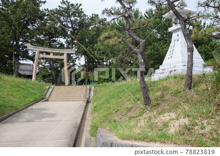 兵庫縣明石市東播磨住吉神社的鳥居和石燈籠，以繡球花神社而聞名。 78823819