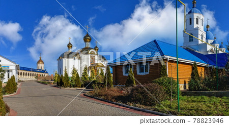Holy Protection Monastery in Marinovka village, Ukraine 78823946