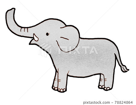 Cute elephant illustration 78824864