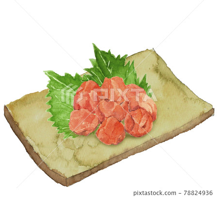 Umeboshi on a square plate with perilla leaves [Hand-painted watercolor] White background 78824936