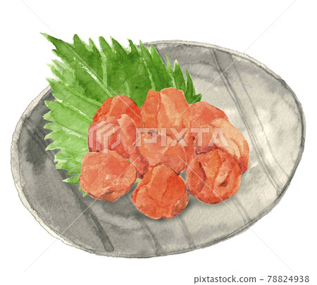 Umeboshi on a plate with perilla leaves [Hand-painted watercolor] White background 78824938