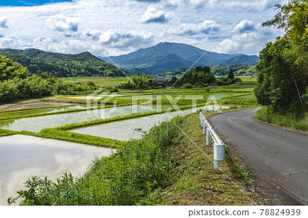 石壁山和稻田 78824939