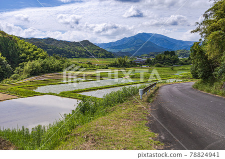 石壁山和稻田 78824941