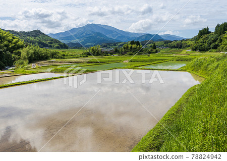 石壁山和稻田 78824942