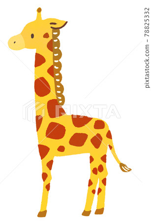 Cute giraffe illustration 78825332
