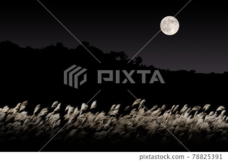 Full Moon and Susuki 78825391